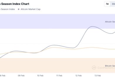 Aún estamos en temporada de Bitcoin, según índice de "alt-season" de CoinMarketCap