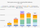 Chainalysis reveló que el crimen cripto marcó cifra récord de USD 45 mil millones en 2024