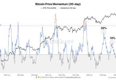 Analista fija los niveles de máximos y mínimos de Bitcoin