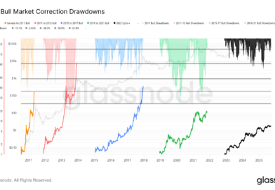 La macroestructura de Bitcoin da señales de que el mercado alcista terminó y ahora es solo caída, señala Glassnode