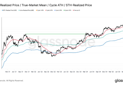 Bitcoin en caída técnica: el 71% aún tiene ganancias, pero el peligro está más cerca, ¿nuevo ciclo bajista?