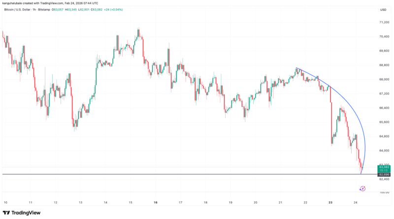 El mercado de Bitcoin entró en fase de capitulación total tras caer por debajo de USD 63K El mercado de Bitcoin entró en fase de capitulación total tras caer por debajo de USD 63K