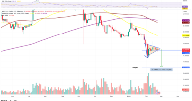 Gráfico de precios de XRP y la actividad de ballenas advierten de una posible caída por debajo del nivel de un dólar