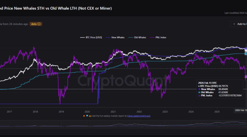Nuevas ballenas de Bitcoin están atrapadas bajo el agua, pero ¿por cuánto tiempo? Nuevas ballenas de Bitcoin están atrapadas bajo el agua, pero ¿por cuánto tiempo?